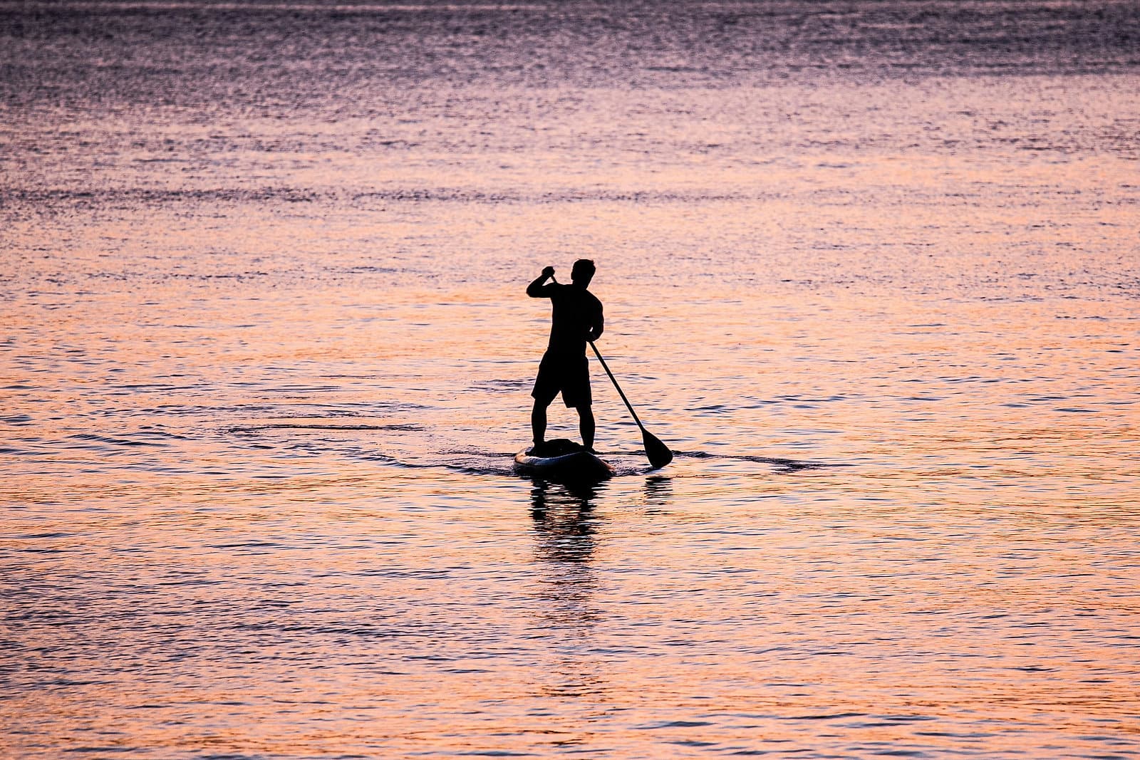 Iemand peddelt staand op een board over spiegelglad water in het roze licht van de dageraad