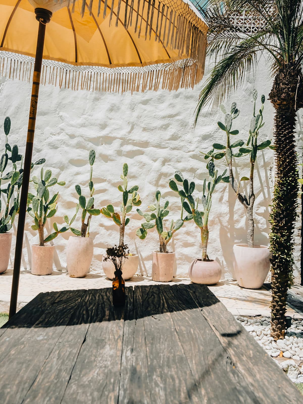 Witte muur met cactussen in terracotta potten bij een boutiquehotel op Bali