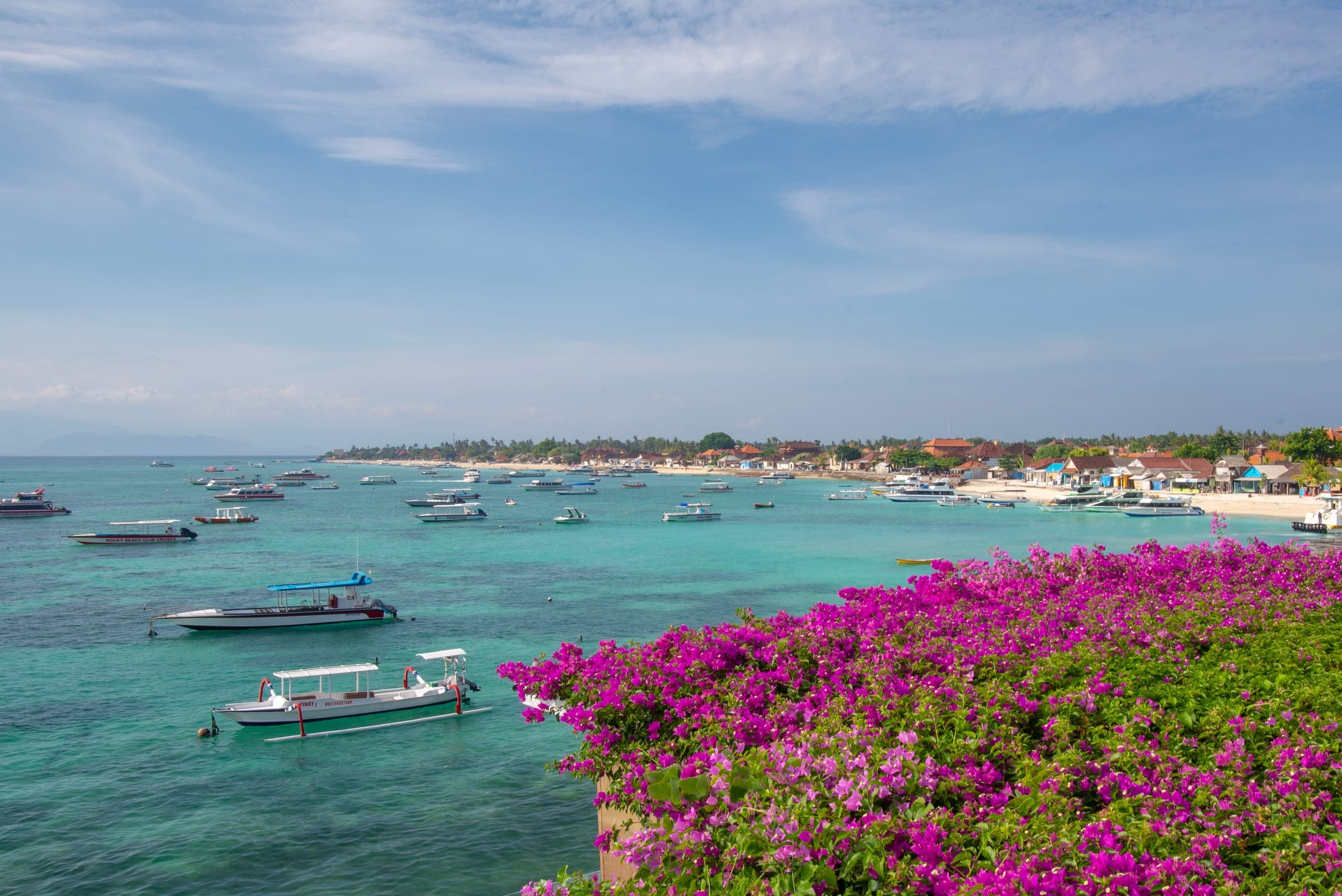 Vissersboten voor de kust van Jungutbatu op Nusa Lembongan, gezien vanaf een klif met bougainville