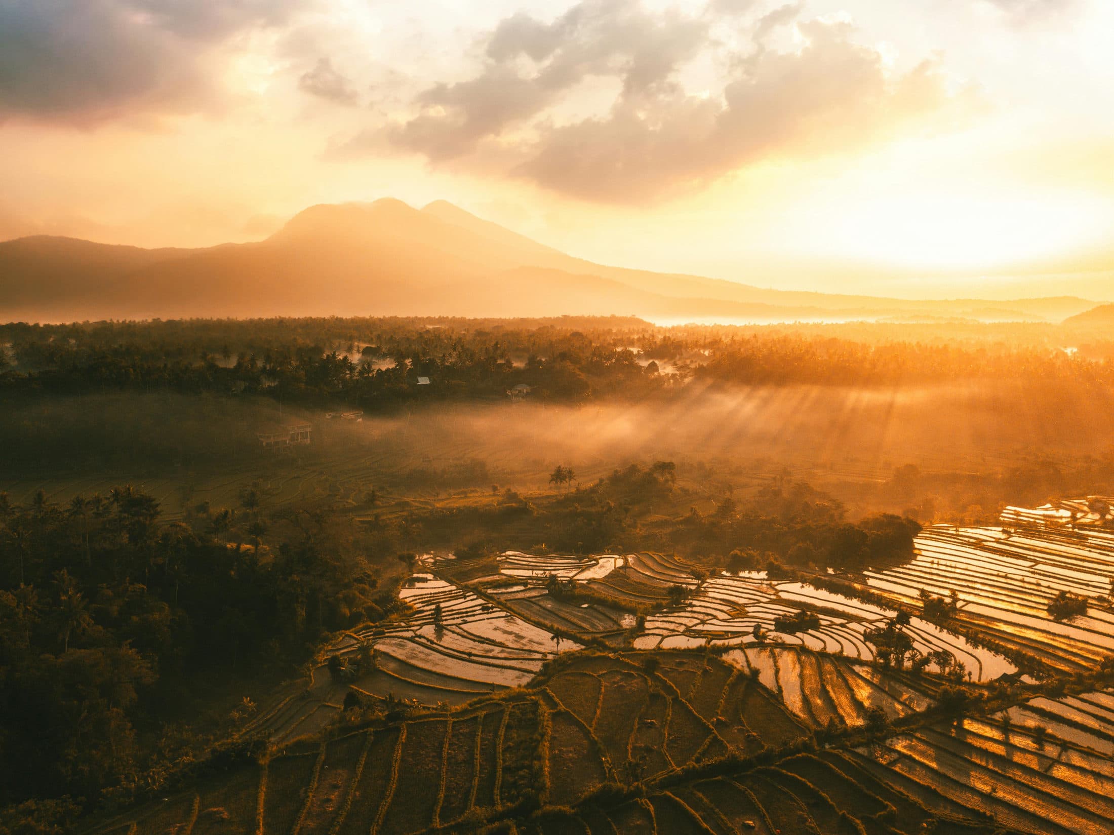 Rijstterrassen in Oost-Bali bij zonsopkomst, met zonnestralen door de nevel en het silhouet van een vulkaan op de achtergrond