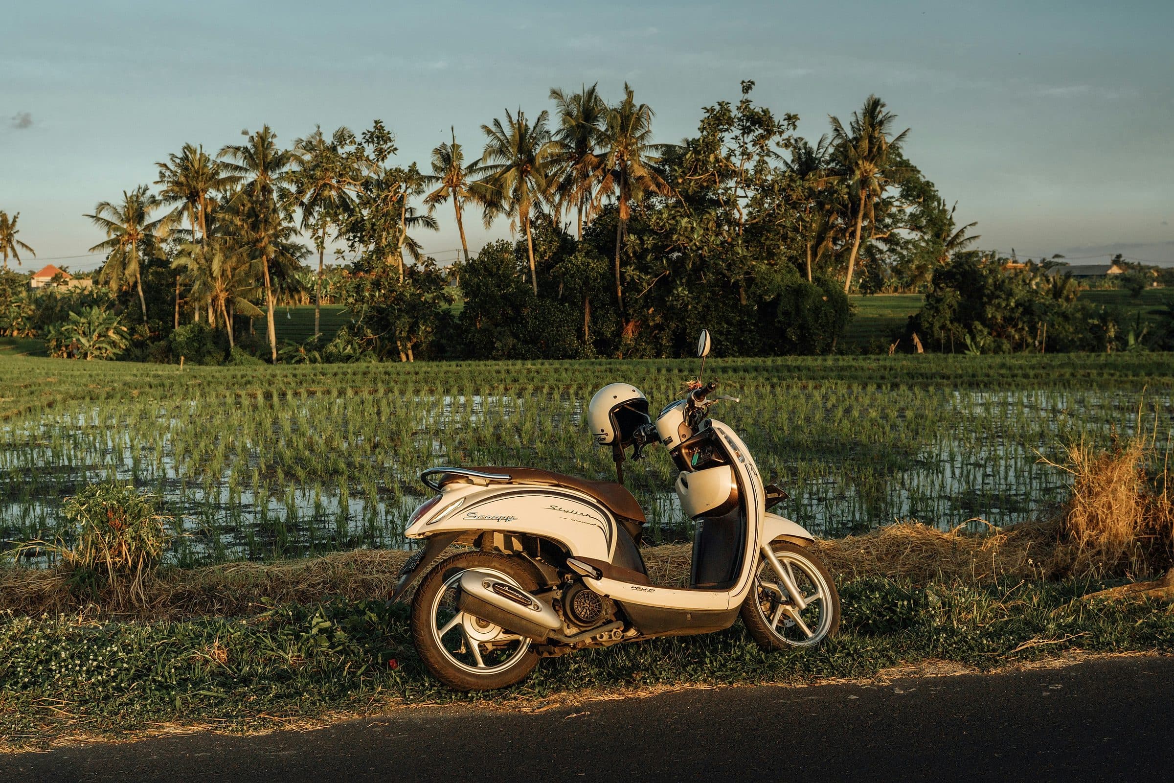 Scooter met een helm aan het stuur, geparkeerd langs een rijstveld in het late middaglicht