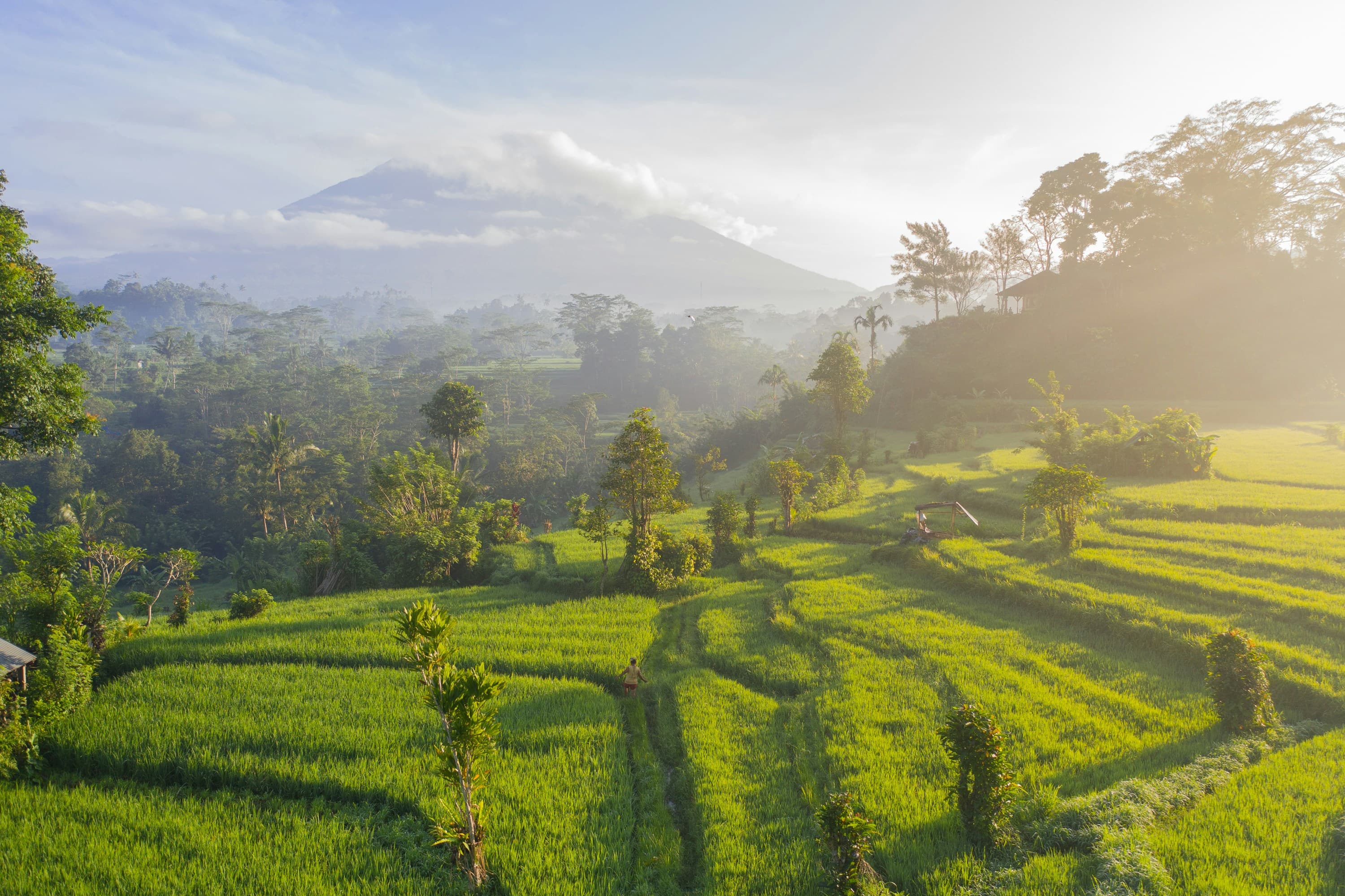 Groene rijstterrassen in de Sidemen-vallei met vulkaan Agung in de mist op Bali