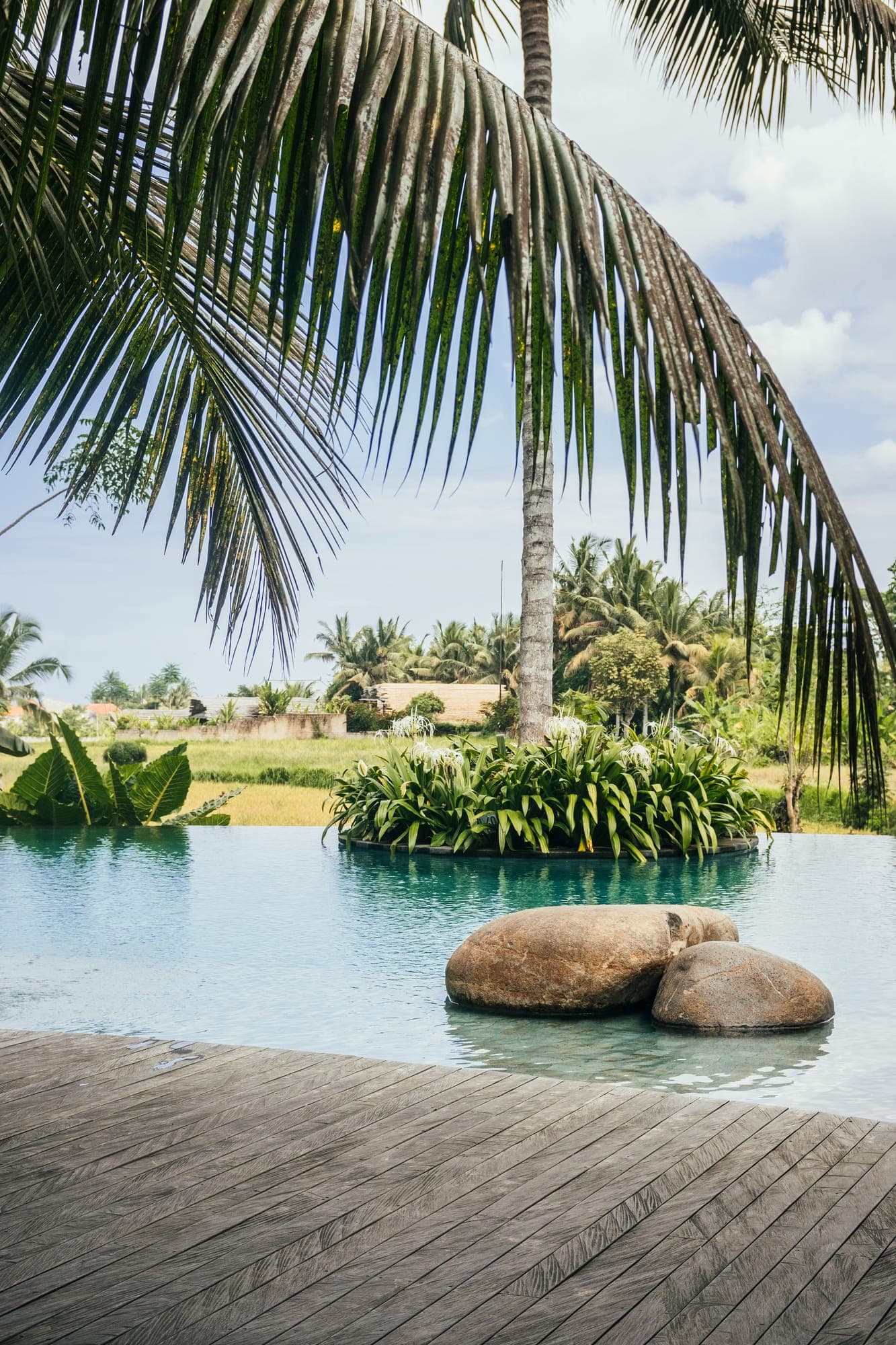 Zwembad tussen de palmen en het groen van de Ayung-vallei bij Ubud