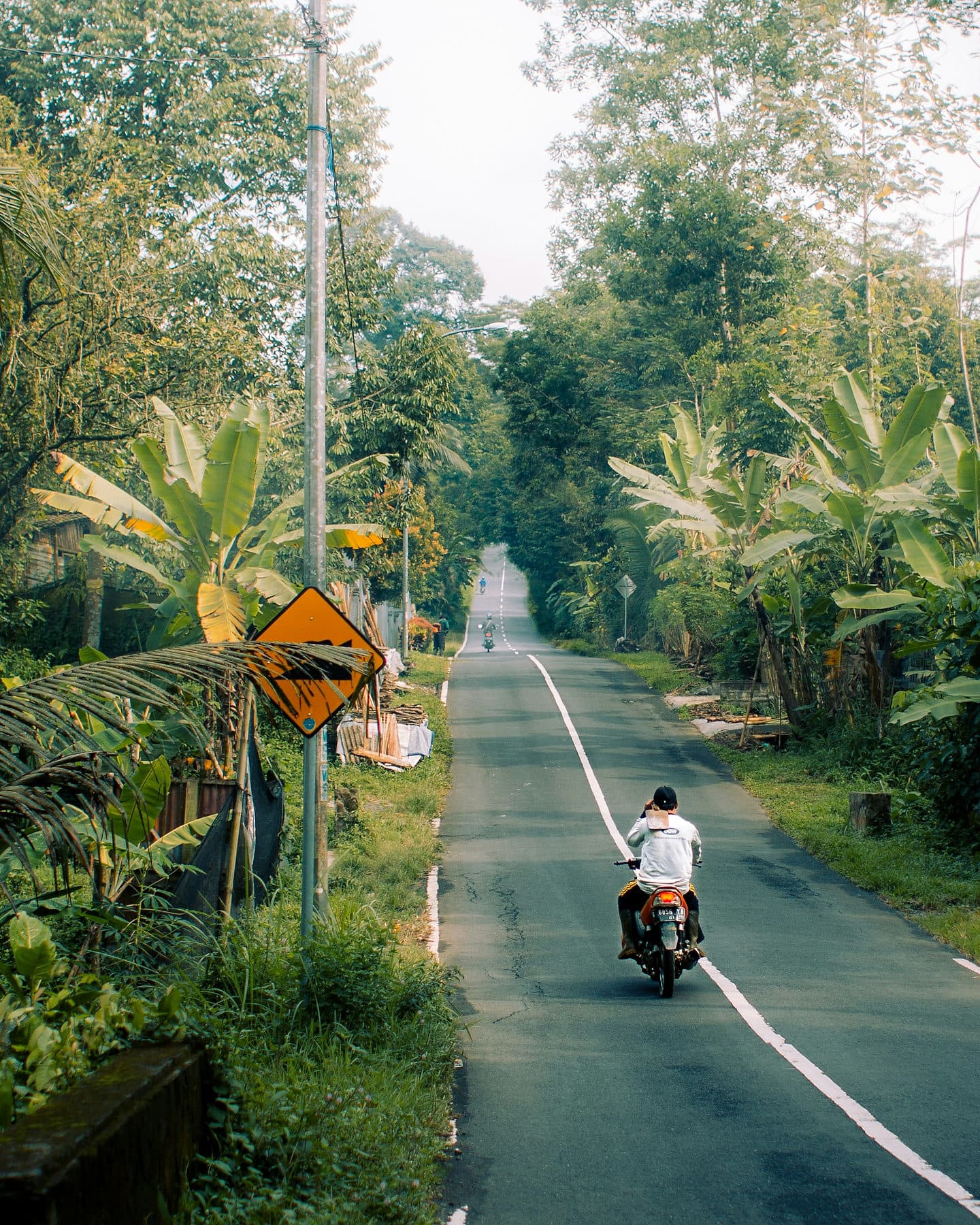 Een scooter rijdt over een smalle weg tussen dichte begroeiing in het binnenland van Bali