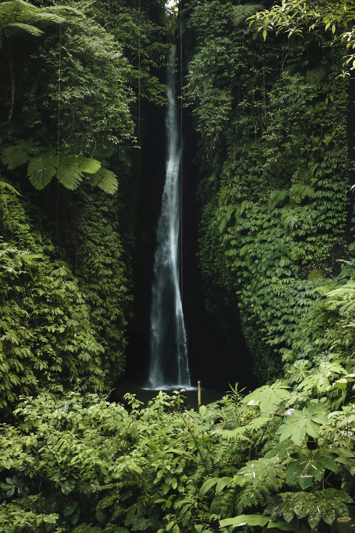 Ubud