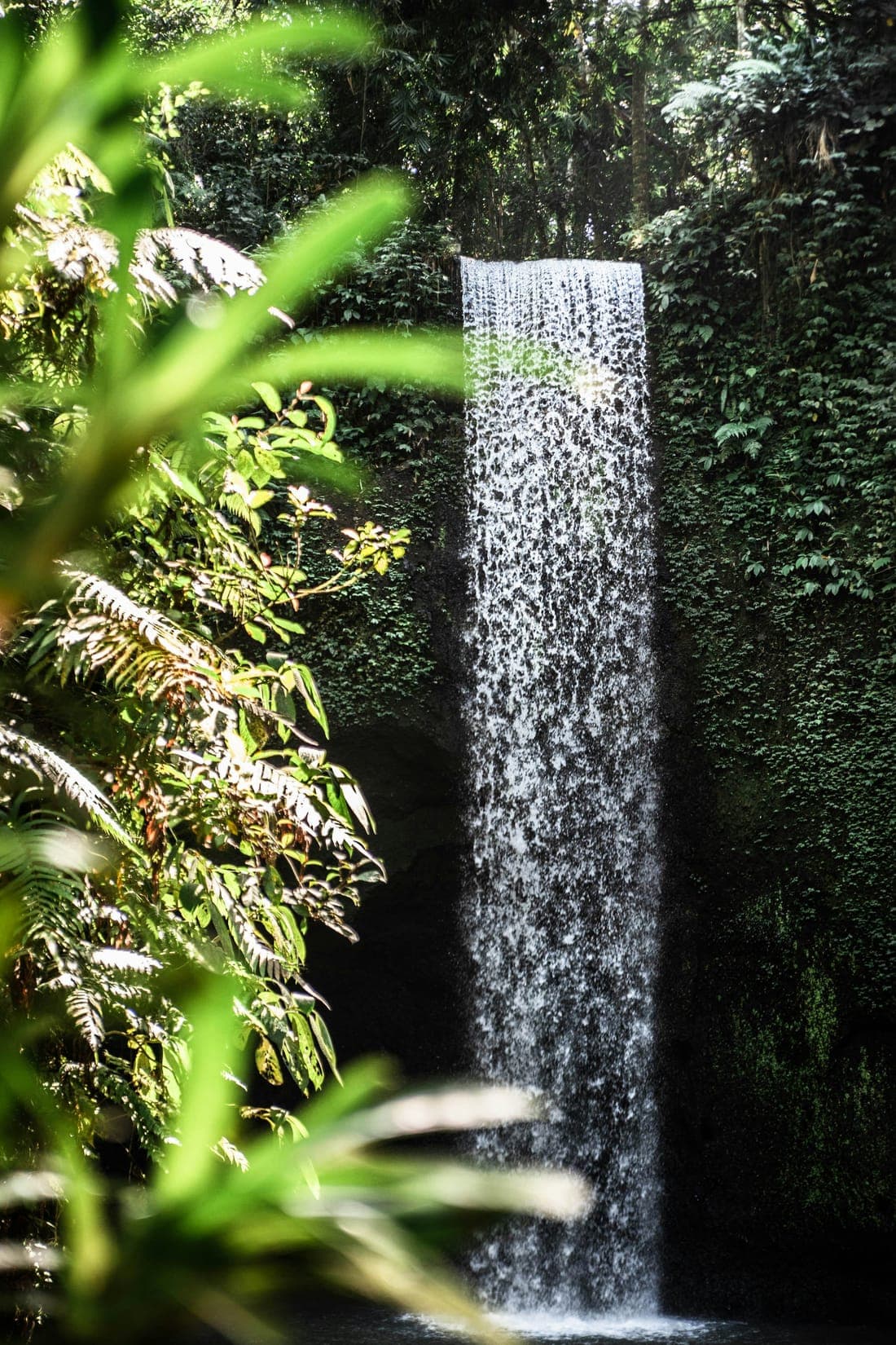 Een smalle waterval die door dichte jungle naar beneden valt op Bali