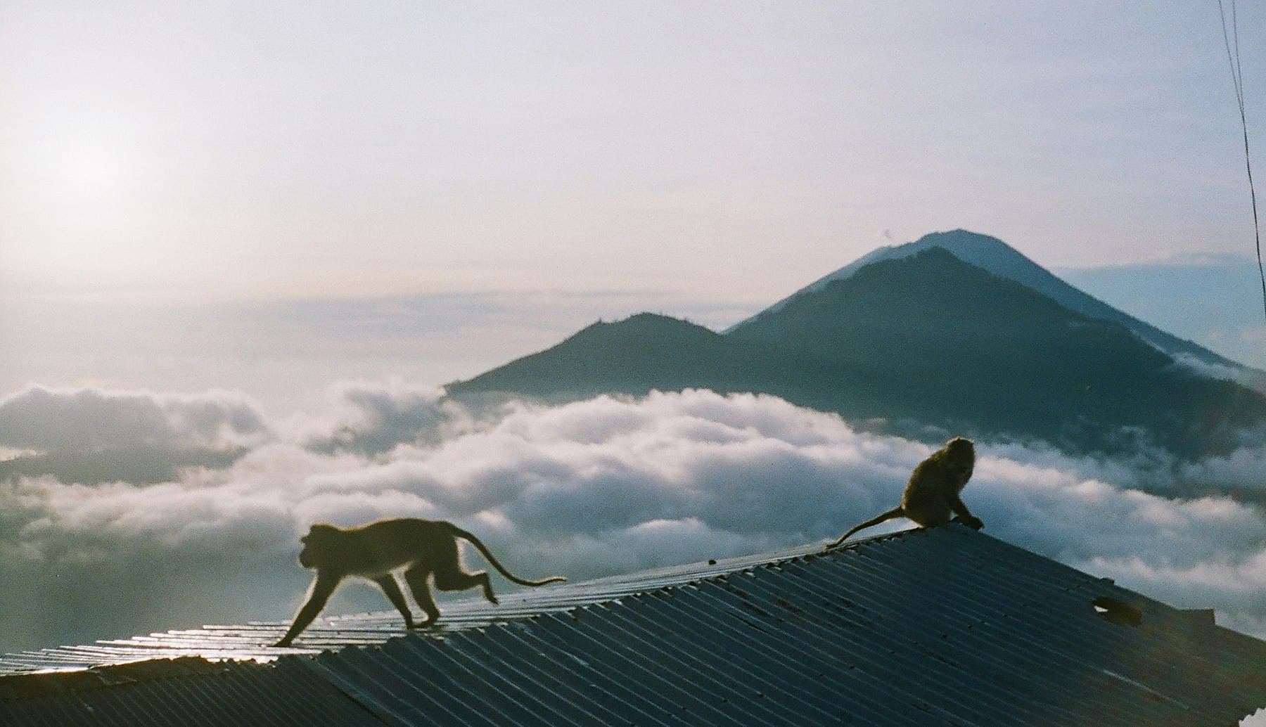 Sunrise-trektocht Mount Batur