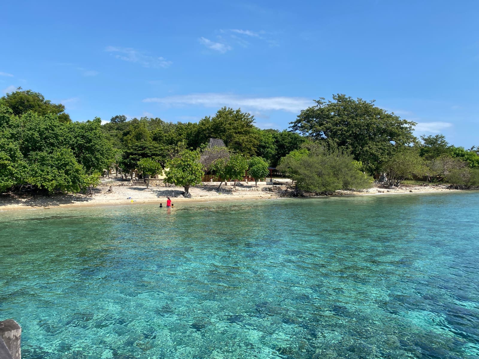 Helder turquoise water bij het eiland Menjangan met een groene, beboste kustlijn en een klein strandje