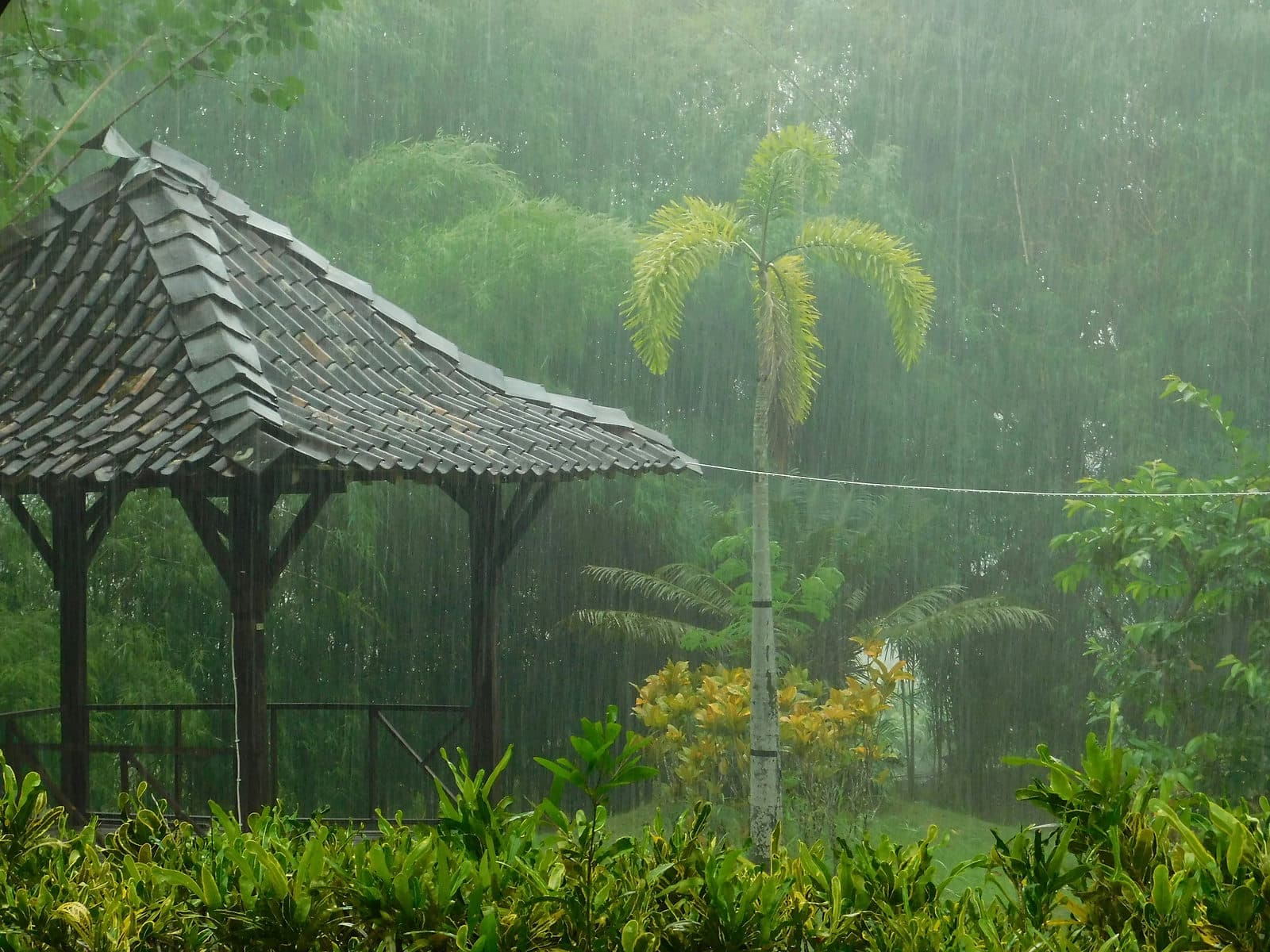 Regen valt op het dak van een open bale boven een groene vallei met palmen op Bali