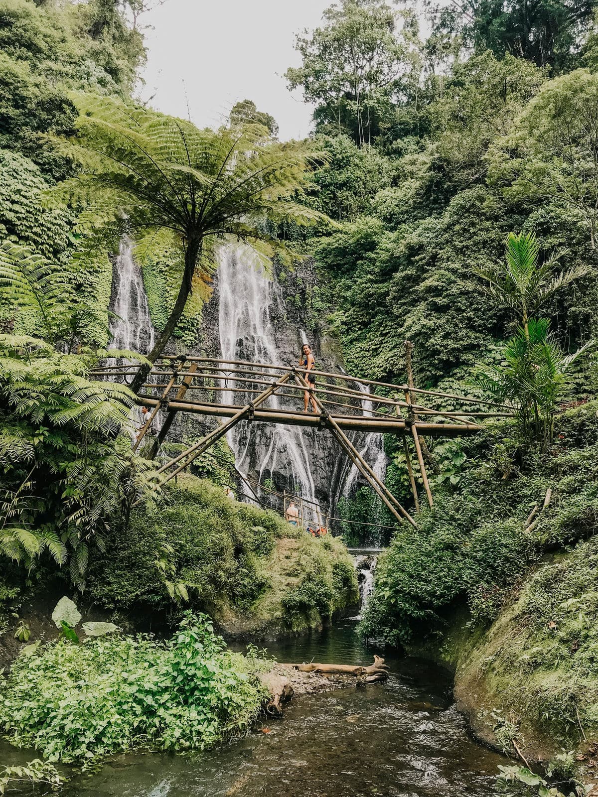 Een waterval stort in een groene kloof met varens en een bamboebruggetje op Bali