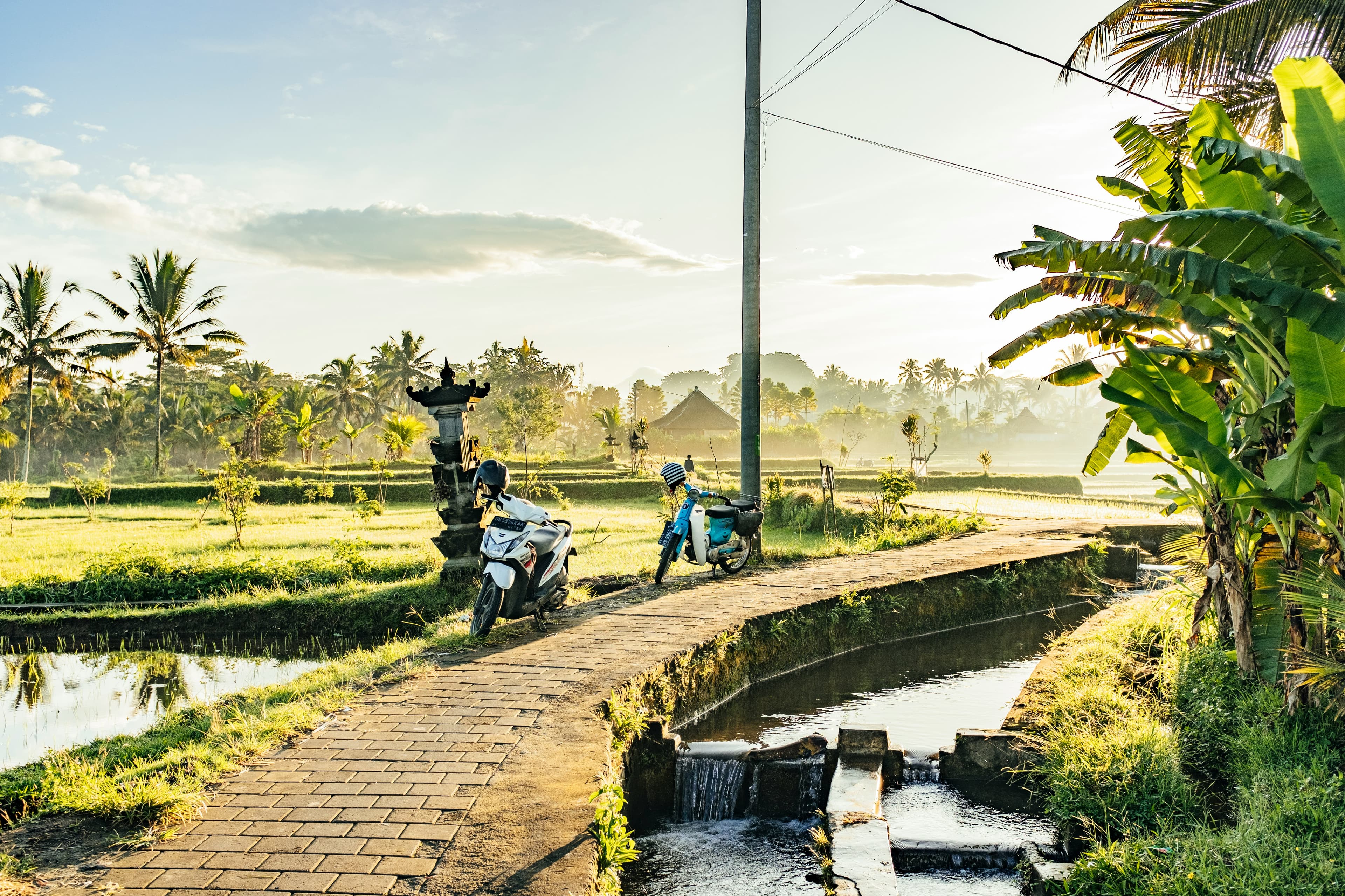 Scooters op een pad door de rijstvelden bij Ubud in het gouden ochtendlicht op Bali