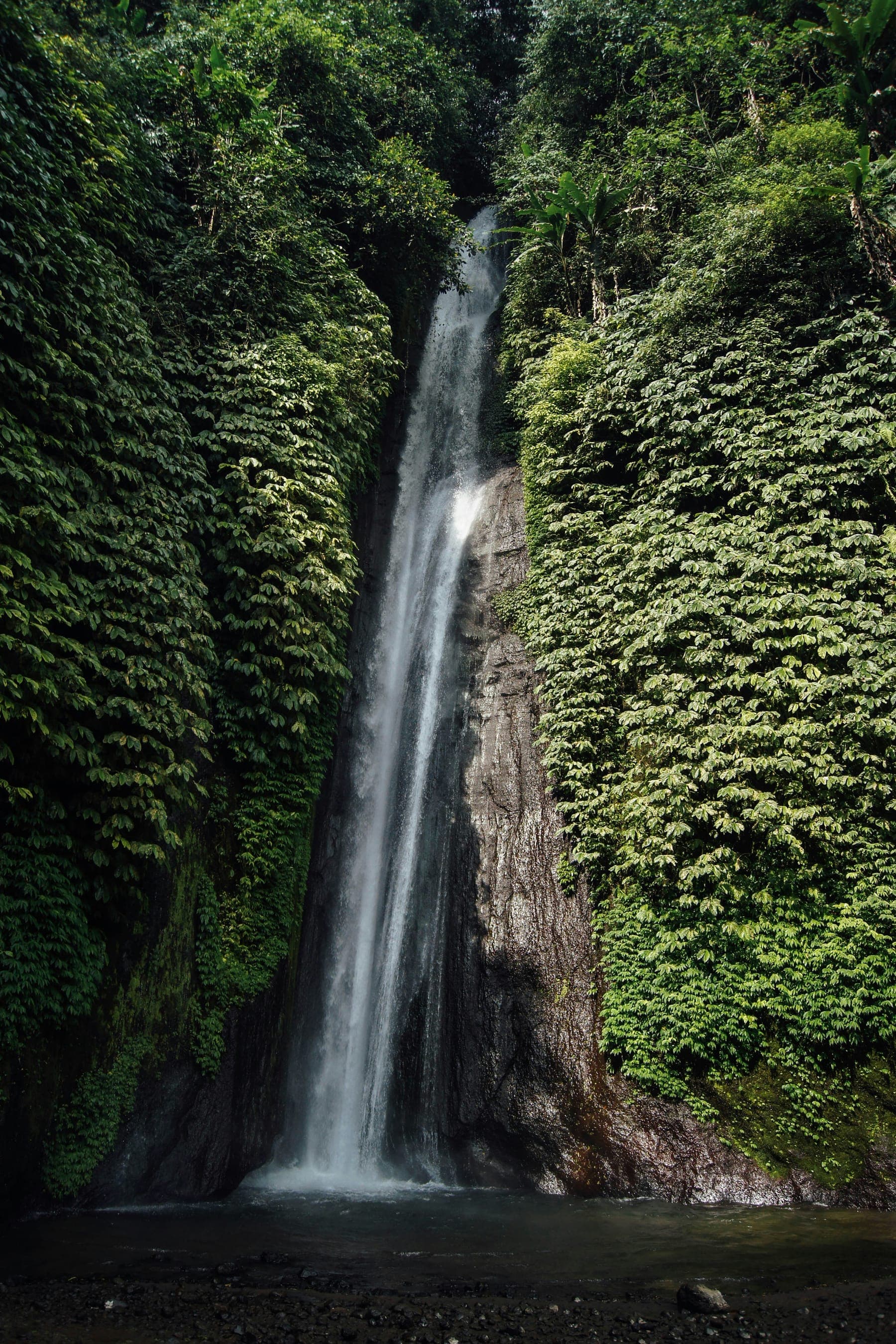 Een hoge waterval die tussen dichtbegroeide, groene rotswanden naar beneden valt op Bali
